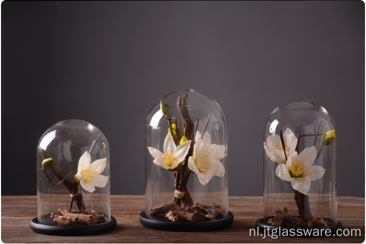 Groothandel Houten Cloche Bell Jar Bloem Glazen Koepel Set