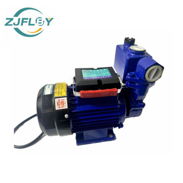 Bomba autoescorvante de 750 W