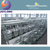 1000L/H cup filling automatic dairy production project