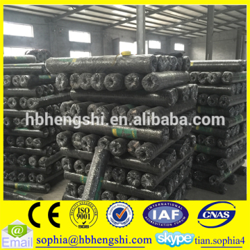 hexagonal galvanized iron wire mesh roll