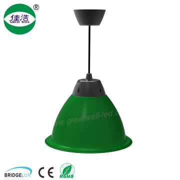30w 40w 50w 60w green fresh meat led case lighting