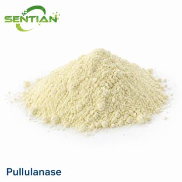 Pullulanase Enzyme for Starch Debranching & Saccharification