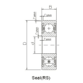 deep thin-walled groove ball bearing-SS6905