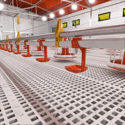 Chicken Drinkers, Feeders, and Poultry Equipment for Quail Farms