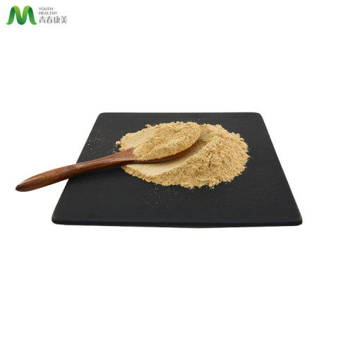 Strong Product Astragalus Membranaceus Root Extract