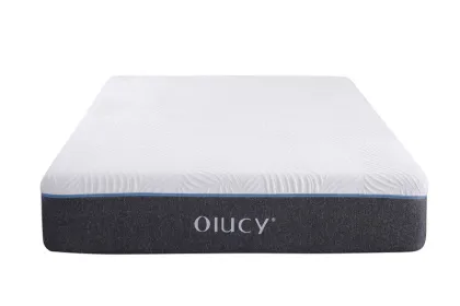 Bed in a Bag Queen Mattress