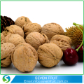 Pengeksport kualiti mentah walnut di Shell untuk borong