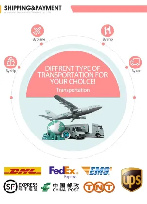 Lol Doll Surprise Characters Shoe Charm for Women - New Product Wholesales