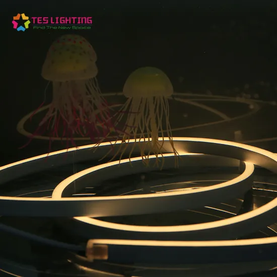 12volt led strip neon outdoor ip68 waterproof