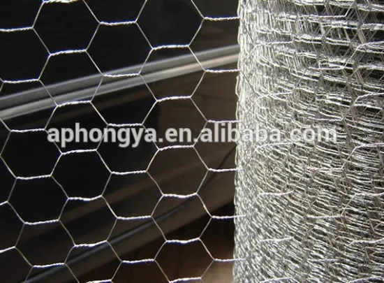 PVC Hexagonal chicken wire mesh 3/4"