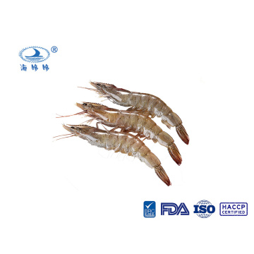 ກຸ້ງແຊ່ແຂງ