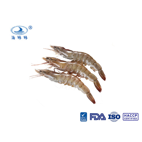 ກຸ້ງແຊ່ແຂງ