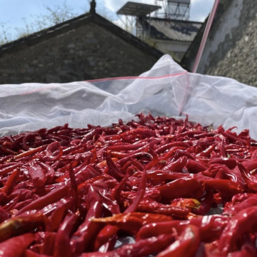 Rotpulver Chili Crushed Pfeffer Yido getrockneter Chili