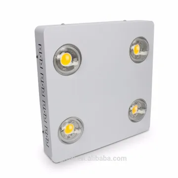 200w 400w 600w 800w Indoor Plant Lamp Factory City Farming Greenhouse Lighting Led Grow Light
/