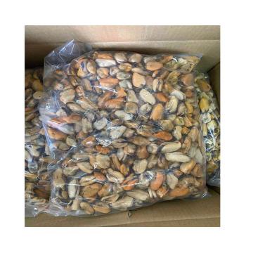 seafood fish frozen mussel meat detail raw freshwater of mussel meat without shell iqf