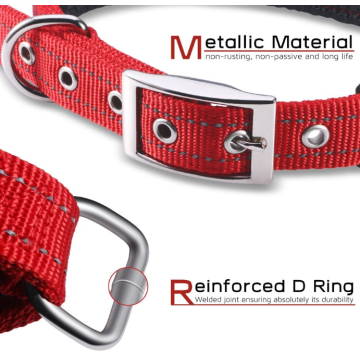 Soft Padded Dog Collar with Buckle