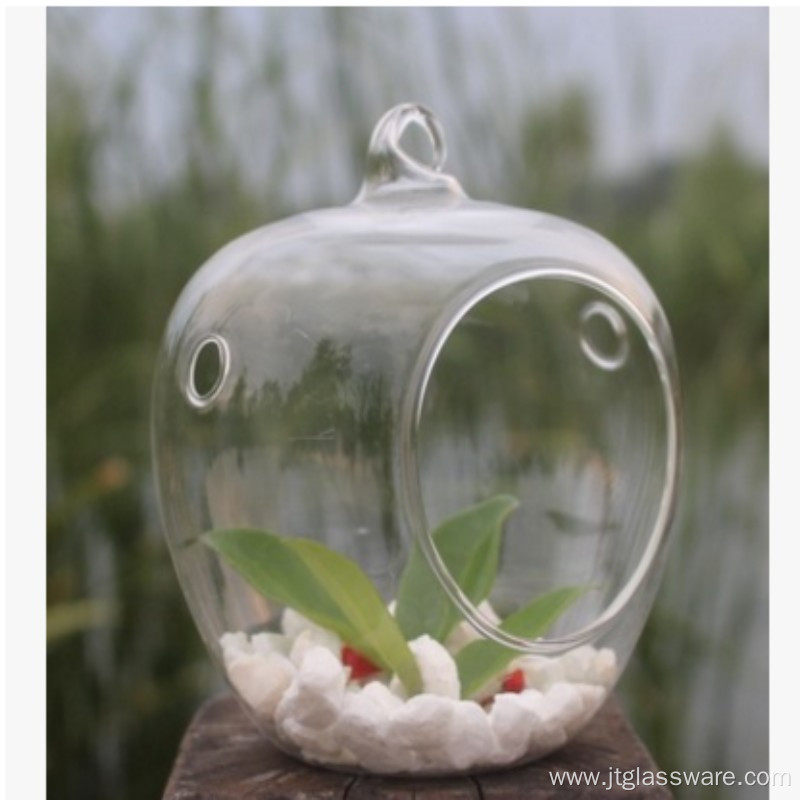 Glass Bottle Terrarium Home Decor