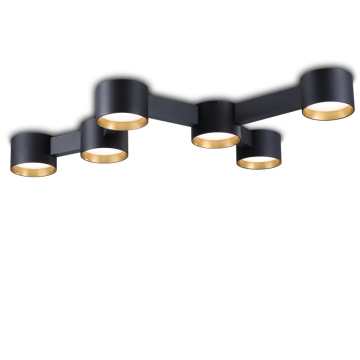 Modern 6*10W Golden LED Ceiling Lights