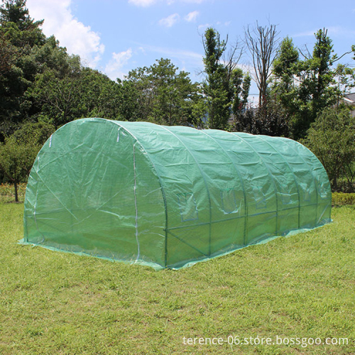 TLSP109 Outdoor Tomato Poly Tunnel Greenhouse 600x300x200cm Low Cost