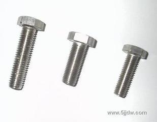 High Strenth Stainless Steel Screw (ZW6485)