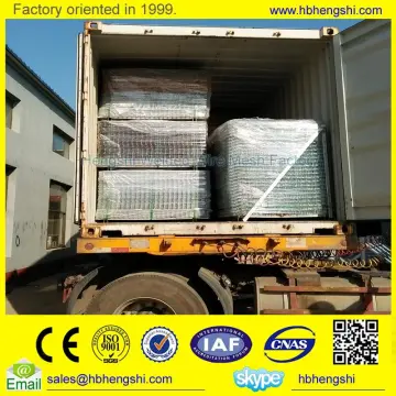 Professional welded wire mesh for wholesales