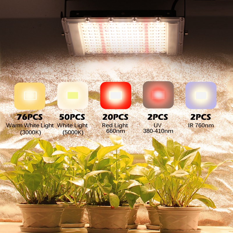 Plant Growth Lighting