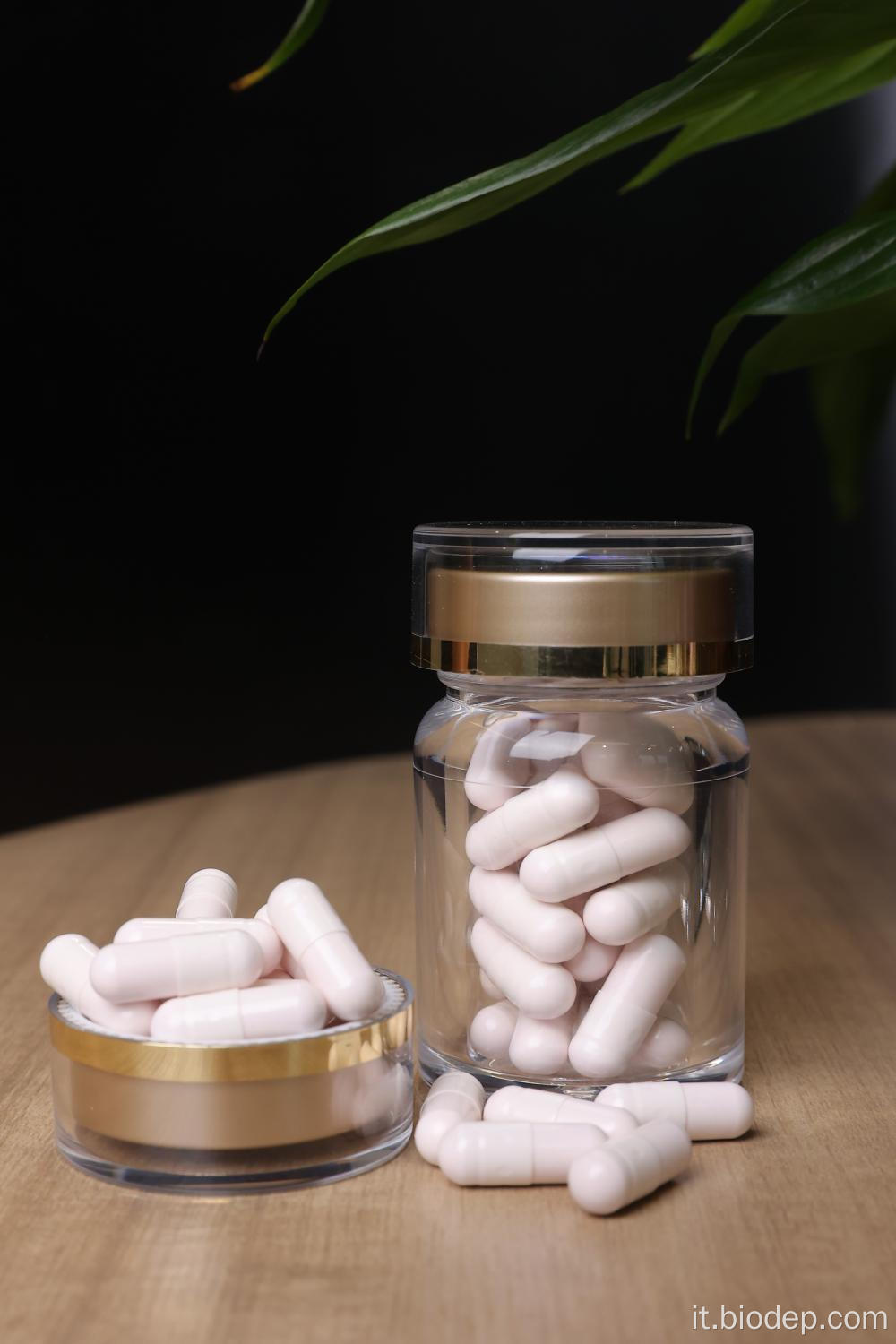 Lactobacillus Gasseri Probiotics 200b CFU/G