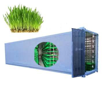 220V/110V Connie Bean Sprout Growing Machine