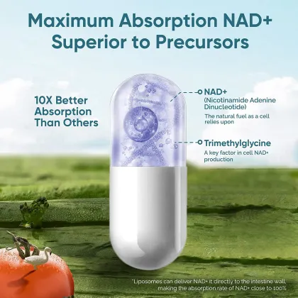 OEM Private label Liposomal Nad+ Capsules