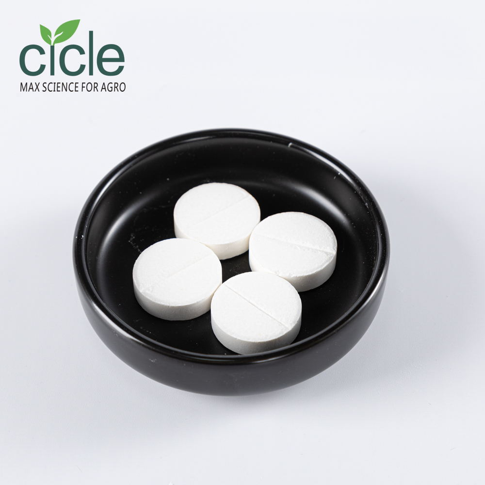 Gibberellic Acid 20% tablet