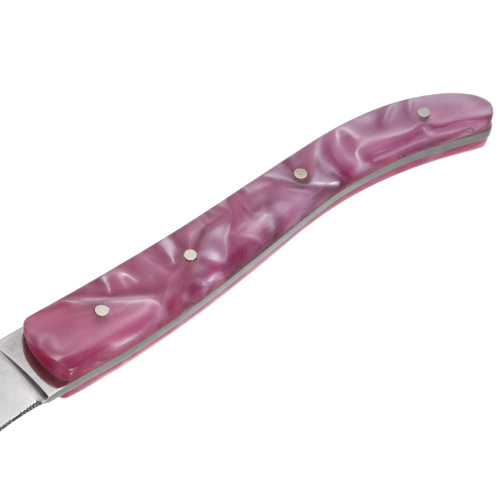 Garwin stainless steel steak knife with resin handle