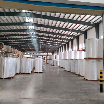 Offset thermal Bopp adhesive large roll paper