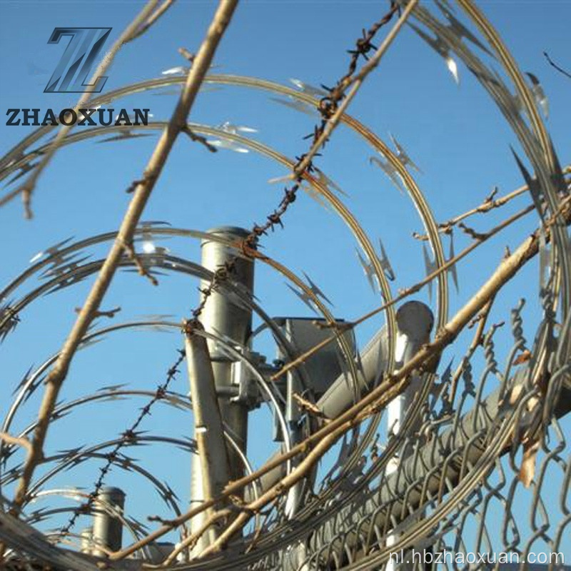 Heet gedompeld gegalvaniseerd dwars scheermeerhuthoed met draadafschermen