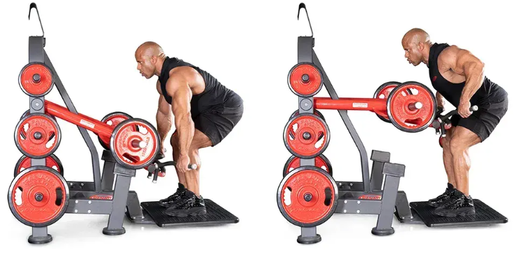Hot selling Fitness Equipment Forward Chest Press Machine