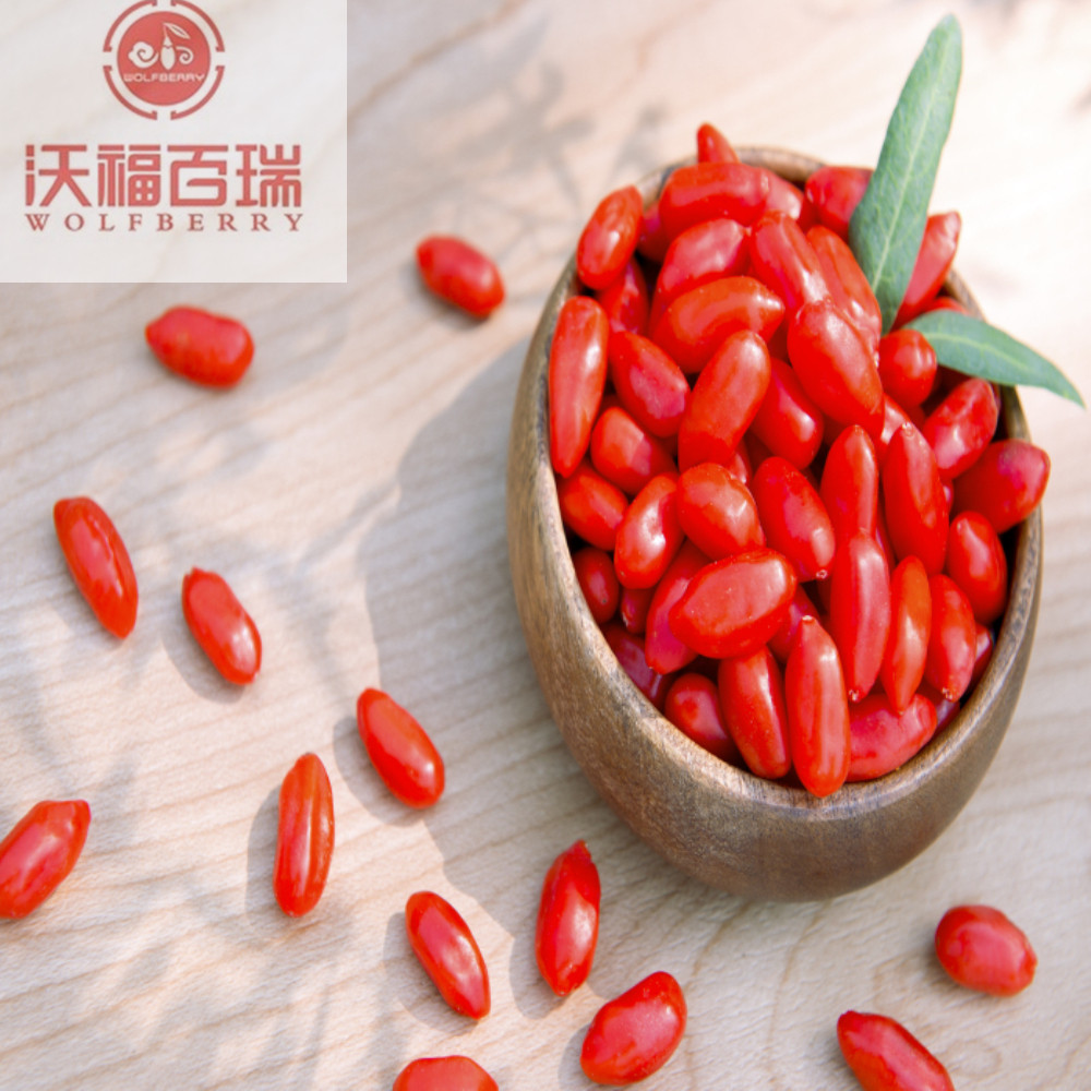 Wolfberry / Lycium Barbarum / Low Price goji berry