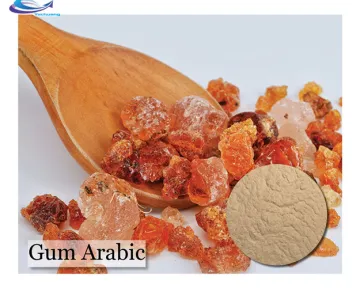 Food Additive Raw Material Powder Price Gum Arabic