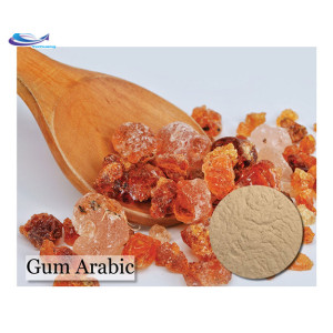 Food Additive Raw Material Powder Price Gum Arabic