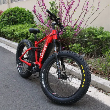 Snow Bike: Folding Electric Bicycles - 1000w Electric Bicycles for Sale