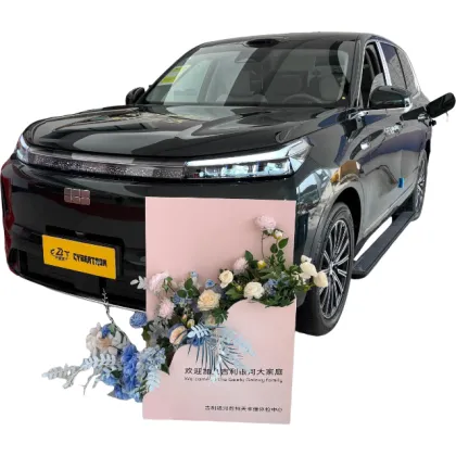 Premium Electric Vehicle Geely Galaxy M9