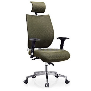 Ergonomic Seating / Executive chair /ergonomic seating in green color