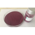 Blueberry Extract 25% Polyphenols Powder For Supplement