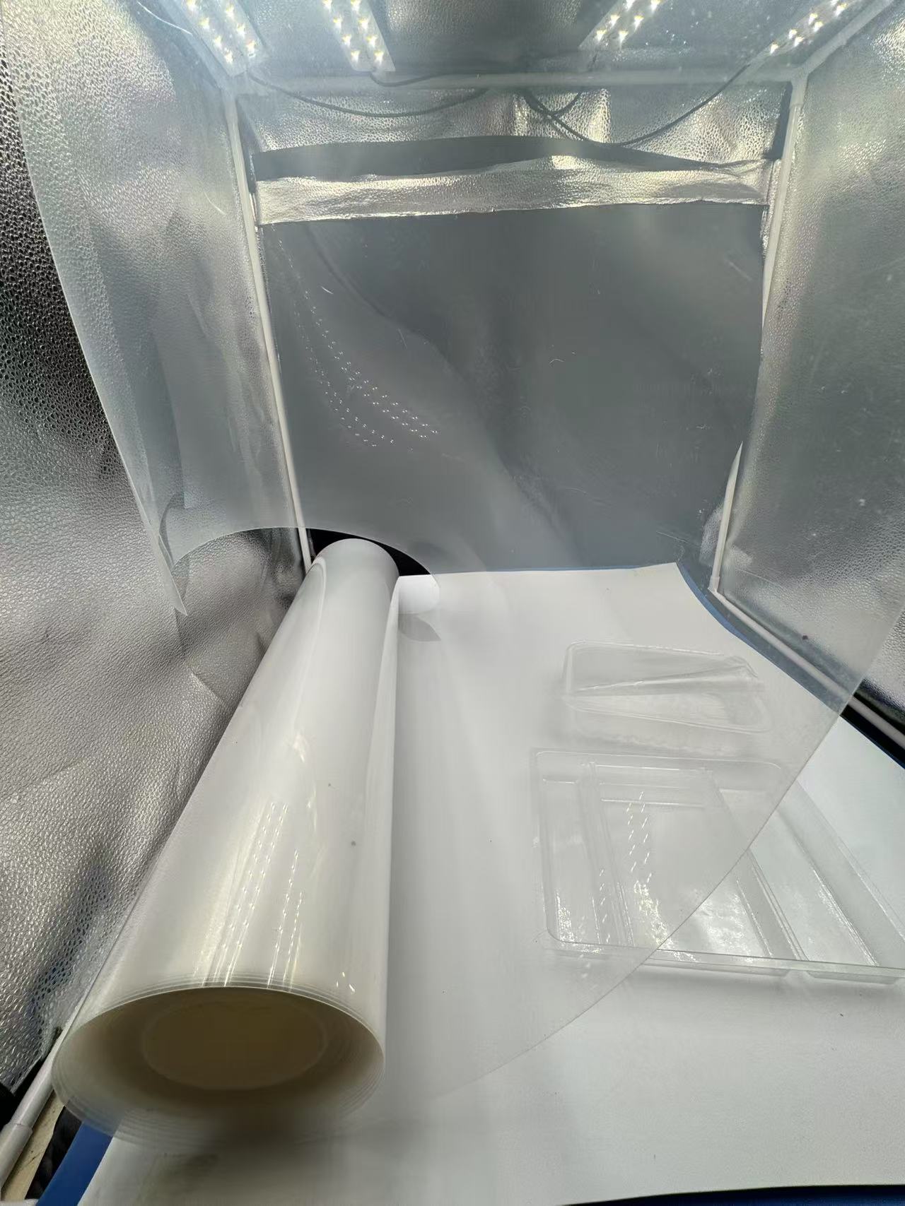 pp food cups