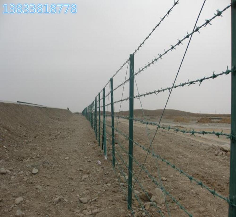 Anping Factory Various Barb Wire