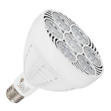 ETL CETL 2024 SHENZHEN DAYTON DT-P1213L-PAR38-60W 8000K 10000K 25 DEGREE ETL LED PAR38 60W Mücevher Spot Işığı