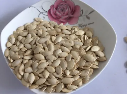 China inner mongolia wholesale shine skin pumpkin seeds