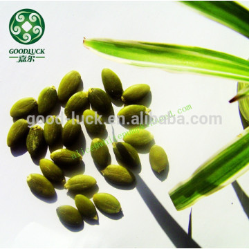 A,AA Grade Green Pumpkin Kernels Without Shell