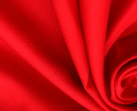 Wall Shape Jacquard Polyester Pongee