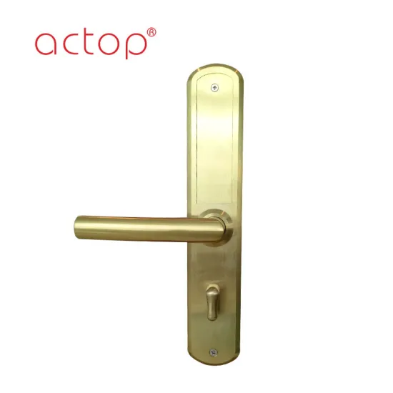 stainless steel access control Amazon hotel door lock