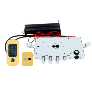 Euro Standard Smart Lock For Security Door
