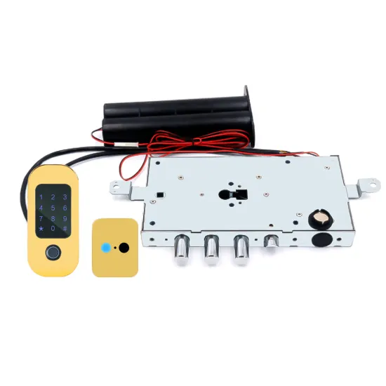 Euro Standard Smart Lock For Security Door